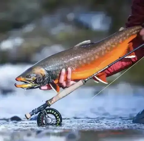 Рыбалка в Fishspedition