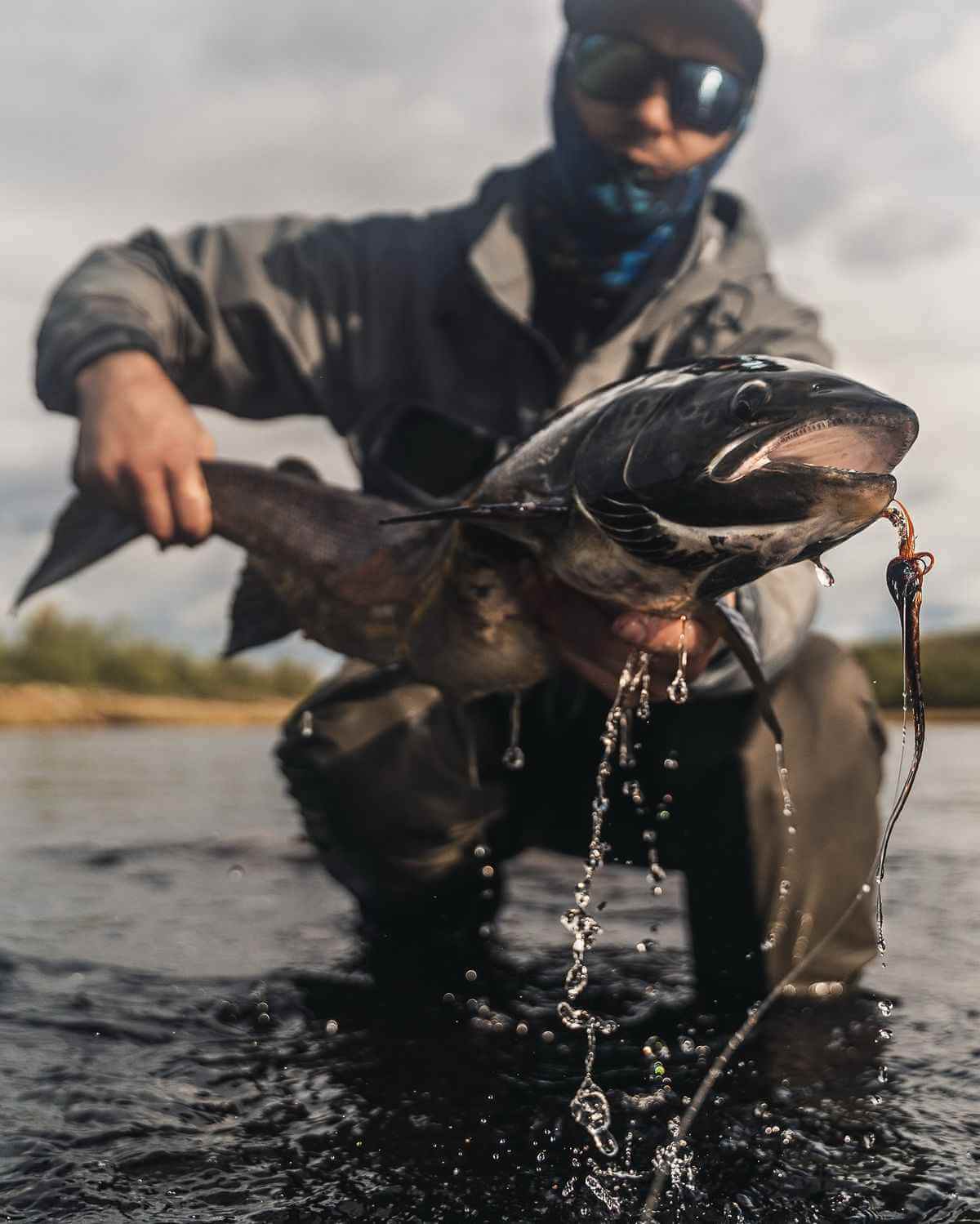 Рыба в Fishspedition