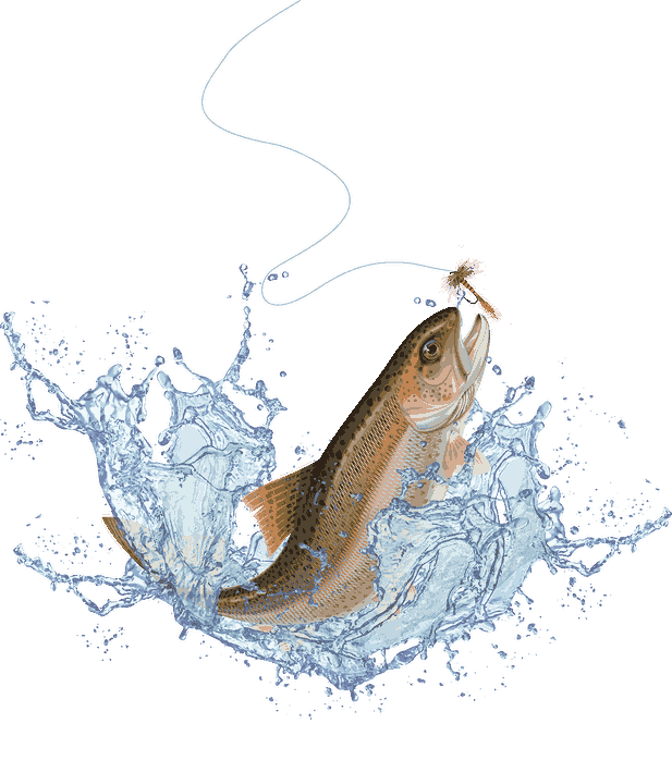 Основное изображение рыбалки в Fishspedition