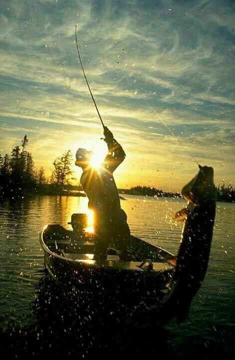 Рыболовы в Fishspedition